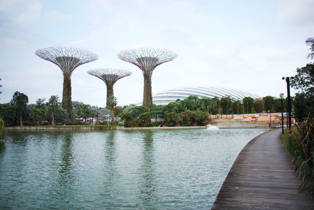 What to know before yo visit Singapore