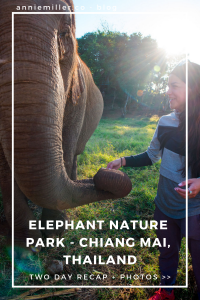 Overnight stay at Elephant Nature Park, Chiang Mai, Thailand (details + photos)