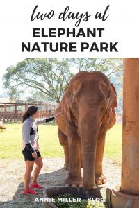 Total recap + details and photos from overnight stay in Elephant Nature Park, Chiang Mai, Thailand