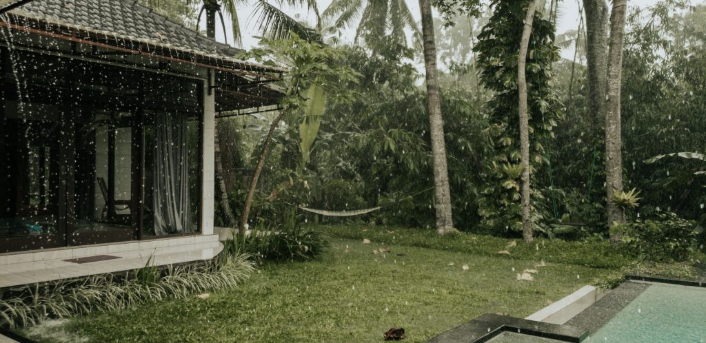 View from Annie Miller's Villa in Ubud Bali 