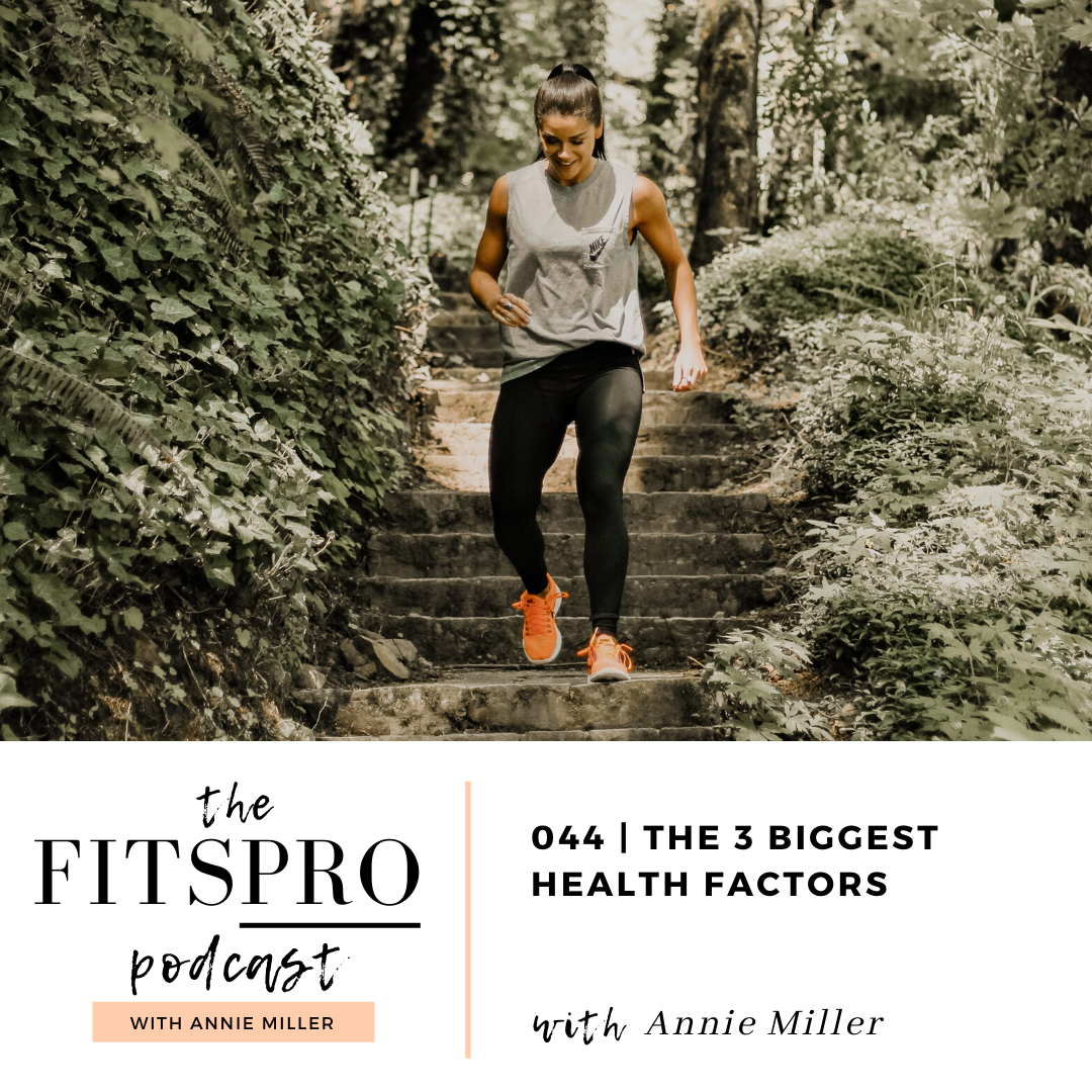 The 3 Biggest Health Factors with Annie Miller of The FitsPRO Podcast