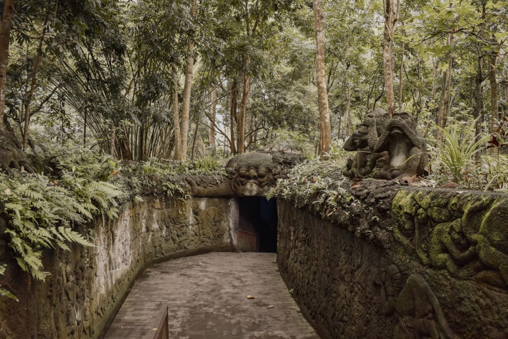 View from the Monkey Forest in Ubud Bali 