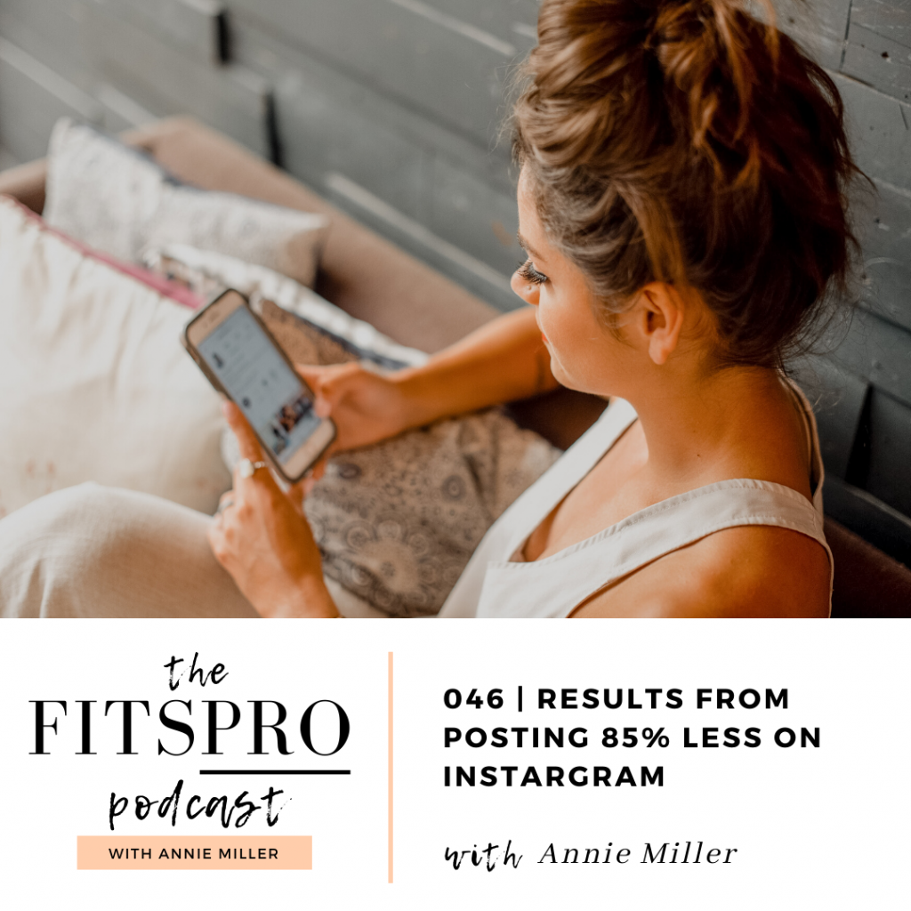 Results from Posting 85% Less on Instagram with Annie Miller Episode 46