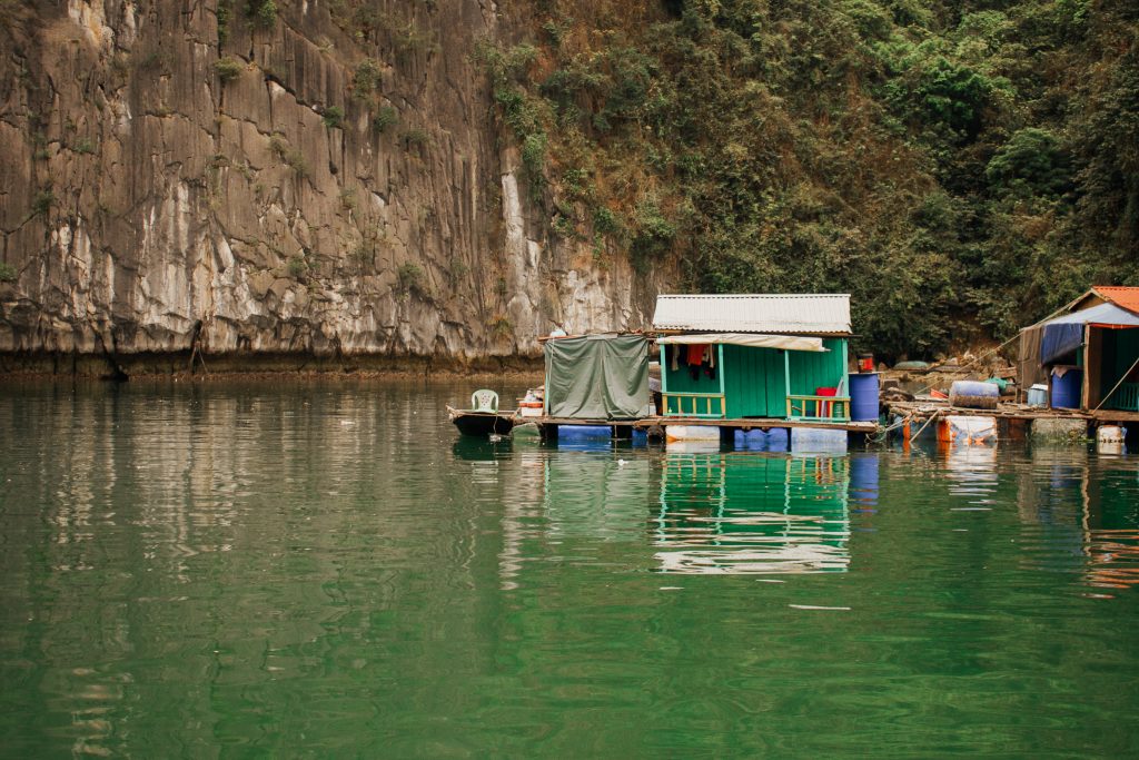 Photo of small dock and green water in Cat Ba