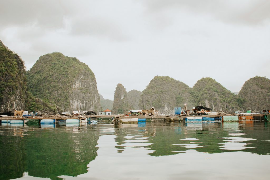 Small docks in Cat Ba, Vietnam