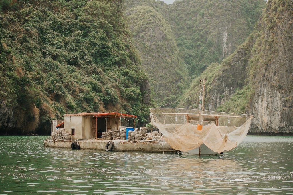 a fishing boat from the tour in Cat Ba