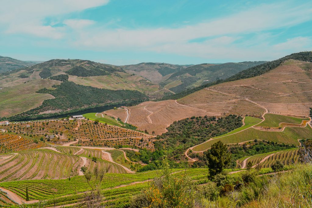 Duoro Valley Views in Portugal by Annie Miller