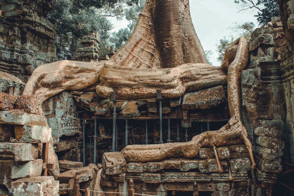 Tree roots growing into the architecture at Preah Khan