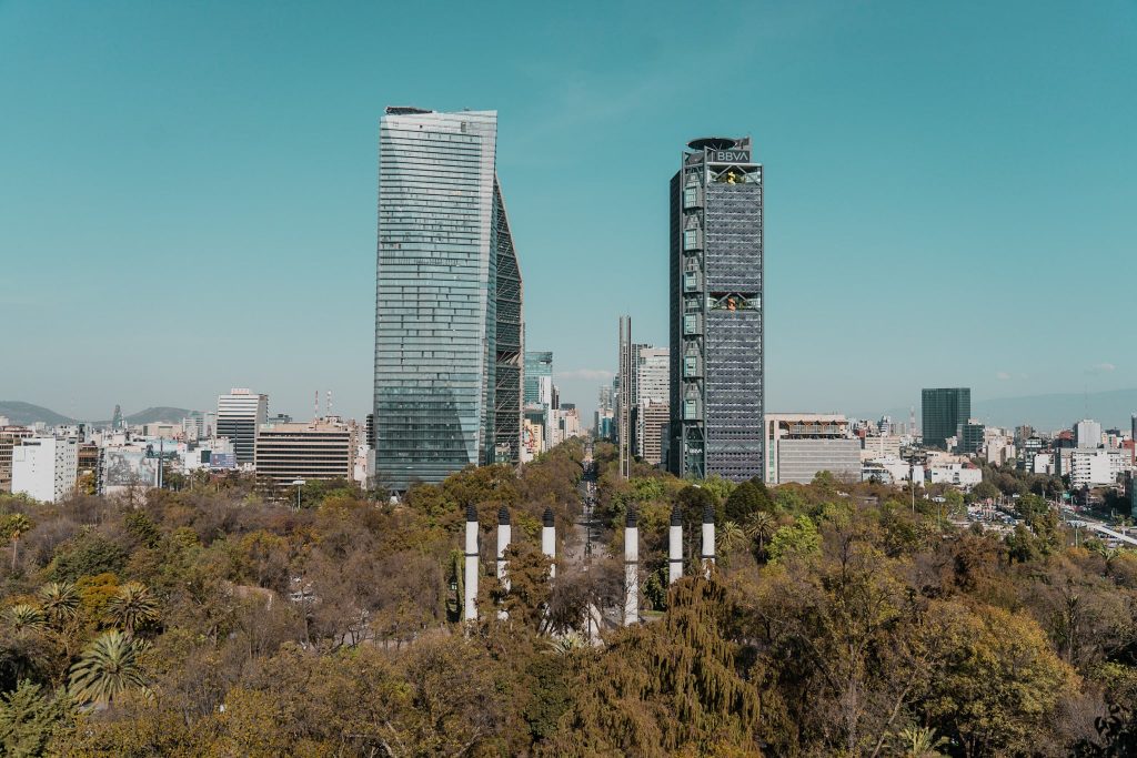 Views of Mexico City from Bosque de Chapultepec by Annie Miller
