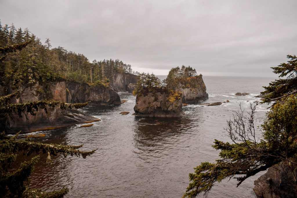 Cape Flattery View Point with Annie Miller on the Olympic Peninsula