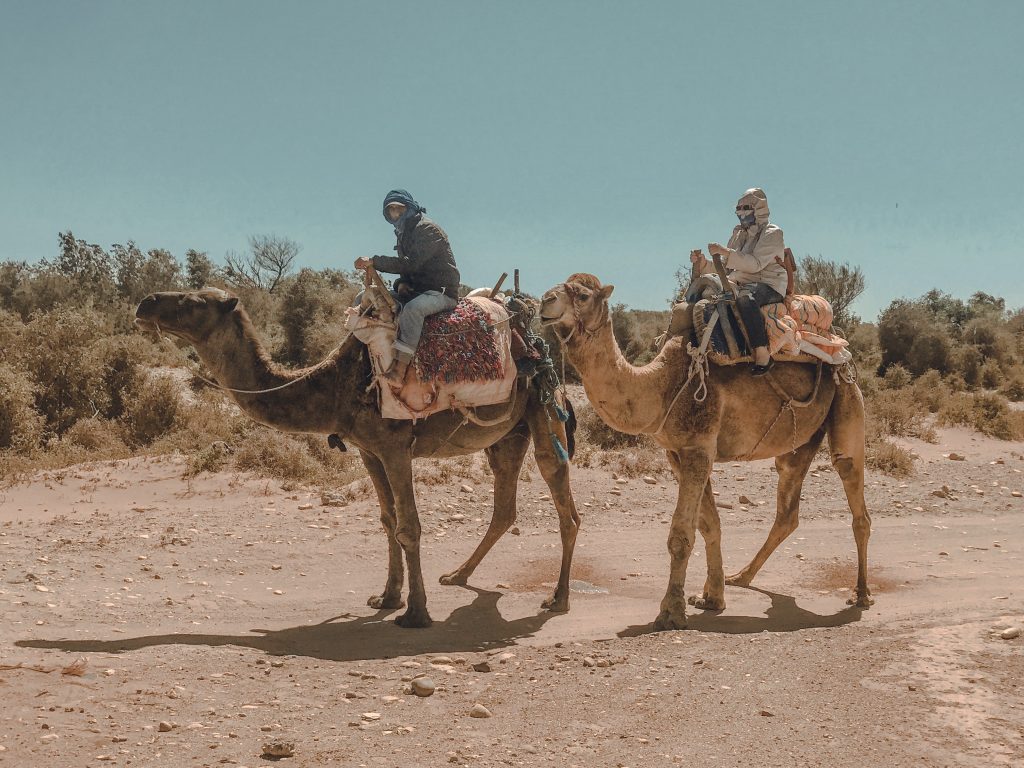 Image of Riding camels in Morocco with FRÉ Skincare team 