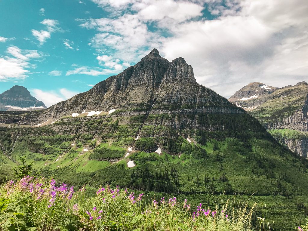 Roadside views from Going to the Sun Road in Glacier National Park with Annie Miller
