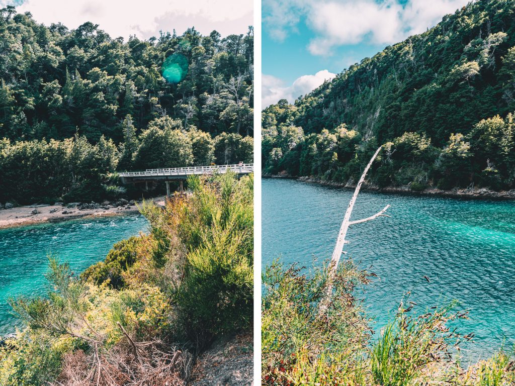lush green trees and blue waters in Bariloche