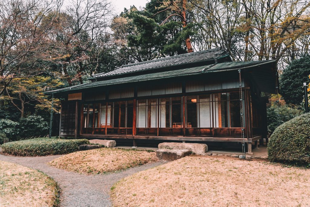 Visiting Annie Miller inside Meiji Jingu and Yoyogi Park in Tokyo, Japan