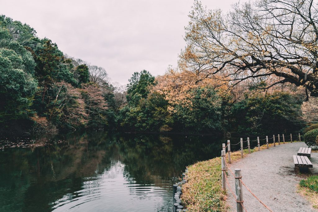 A pond inside Meiji Jingu and Yoyogi Park in Tokyo, Japan