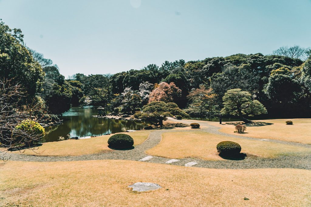 exploring Shinjuku Gyoen National Garden in Tokyo