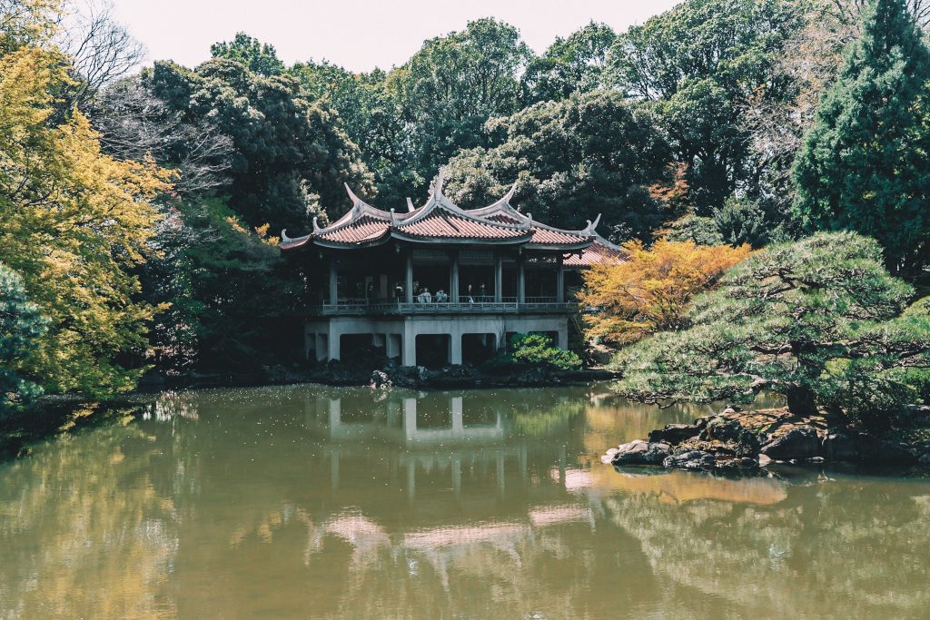 A pond inside the Shinjuku Gyoen National Garden in Tokyo