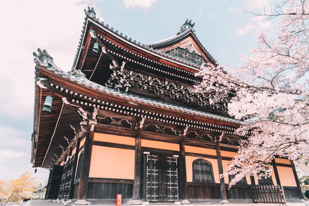 Temples and cherry blossoms in Japan by Annie Miller
