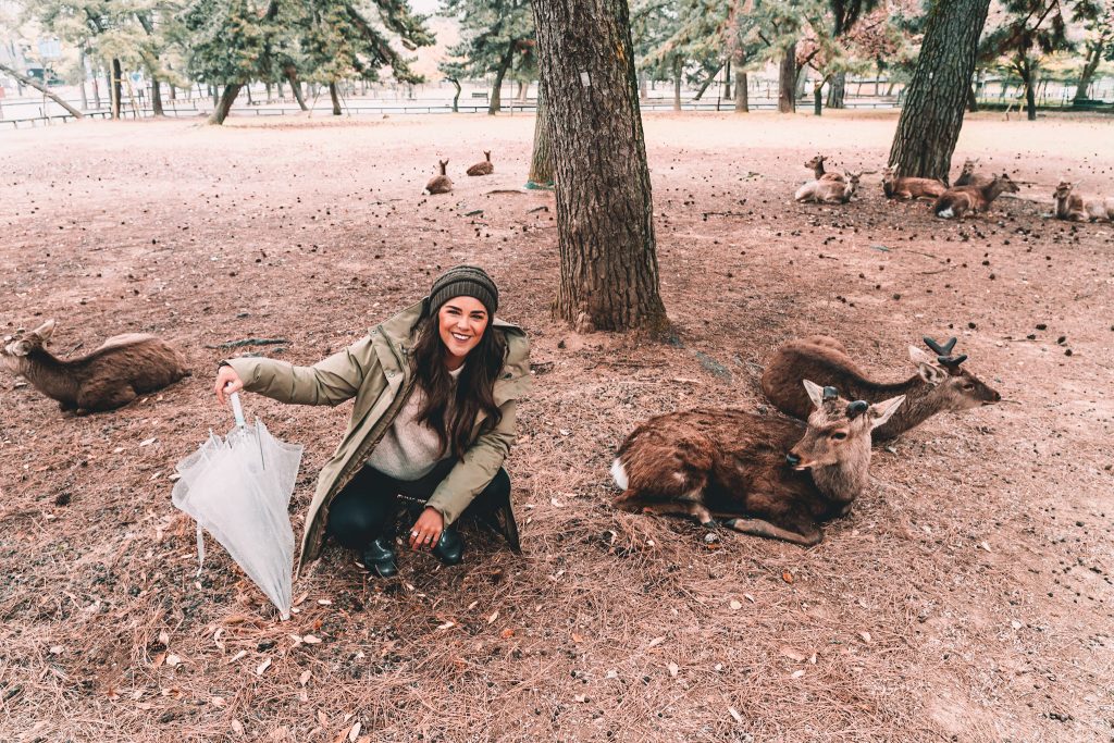 Annie Miller with the deer in Nara Park on Japanese Road Trip 