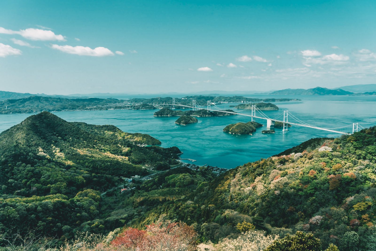 Temples, Caves & Islands - Driving From Hiroshima To Nara W Annie Miller