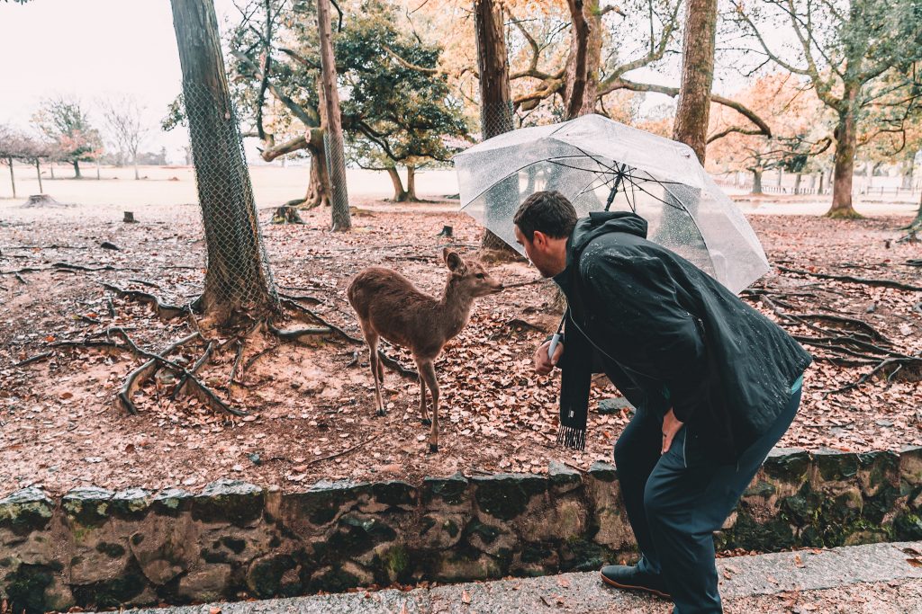 Nate with the deer in Nara Japan