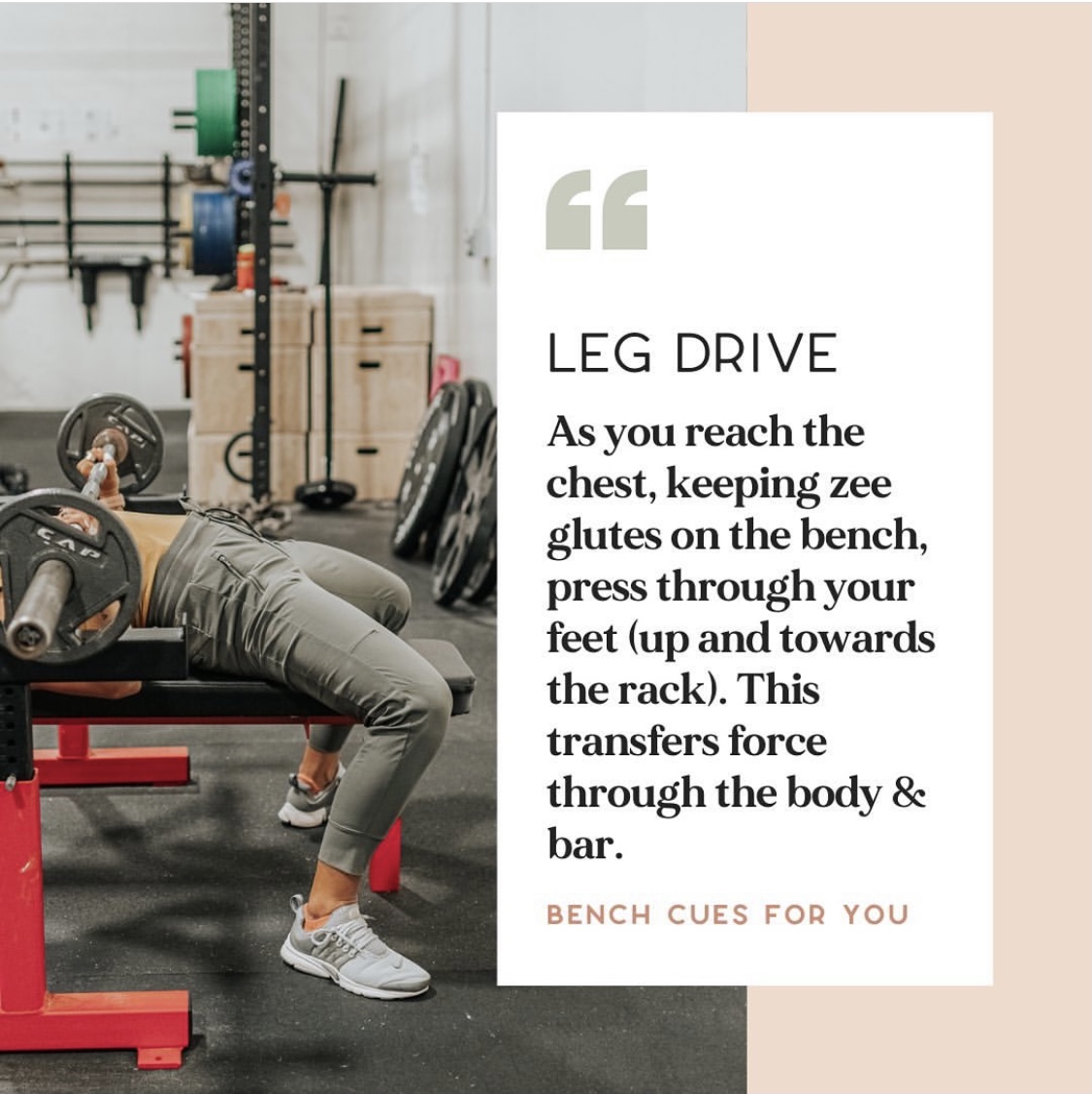 Bench Press Cues for Beginner to Intermediate Lifters with Annie Miller