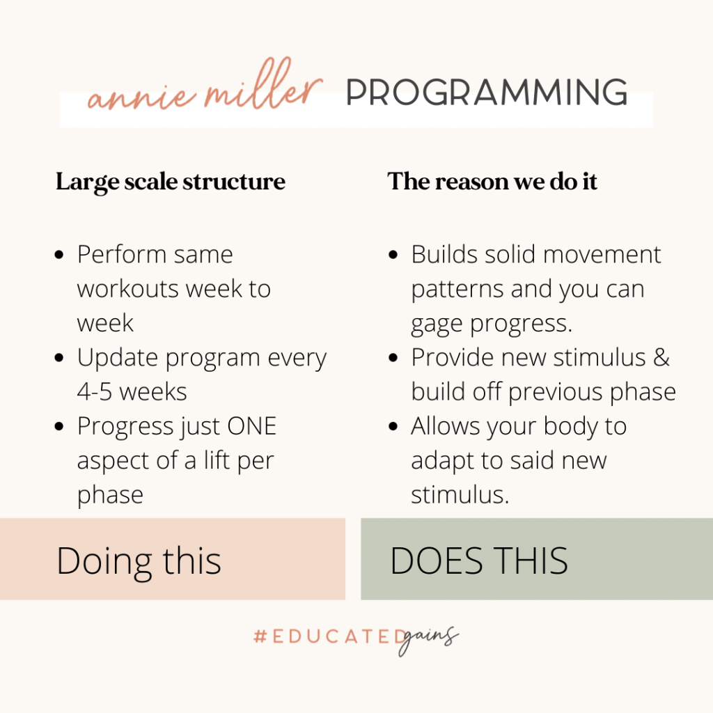 programming truth for better gains with Annie miller
