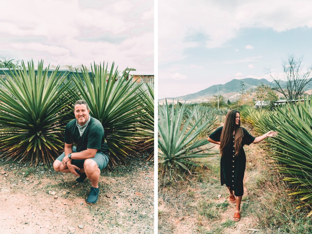 Annie and Nate Miller on a Mezcal Tour