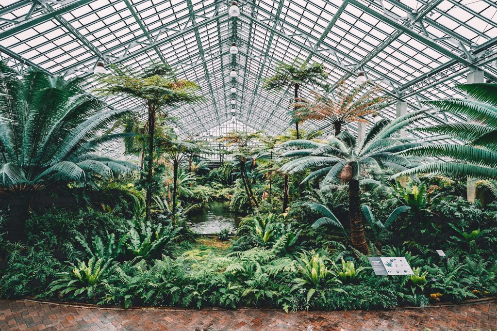 Exploring Garfield Park Conservatory with Annie Miller